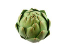 Thumbnail Artichoke Stock Photo - Royalty Free Image