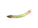 Thumbnail Asparagus Stock Photo - Royalty Free Image