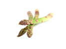 Thumbnail Asparagus Stock Photo - Royalty Free Image