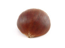Thumbnail Chestnut Stock Photo - Royalty Free Image