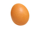 Thumbnail Egg Stock Photo - Royalty Free Image