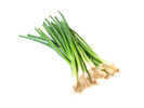 Thumbnail Green Onion Stock Photo - Royalty Free Image