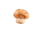 Thumbnail Mushroom Stock Photo - Royalty Free Image Thumbnail Mushroom Stock Photo - Royalty Free Image