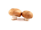 Thumbnail Mushrooms Stock Photo - Royalty Free Image Thumbnail Mushrooms Stock Photo - Royalty Free Image