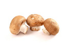 Thumbnail Mushrooms Stock Photo - Royalty Free Image Thumbnail Mushrooms Stock Photo - Royalty Free Image