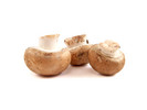 Thumbnail Mushrooms Stock Photo - Royalty Free Image Thumbnail Mushrooms Stock Photo - Royalty Free Image
