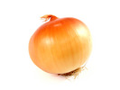 Thumbnail Onion Stock Photo - Royalty Free Image Thumbnail Onion Stock Photo - Royalty Free Image
