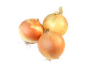 Thumbnail Onions Stock Photo - Royalty Free Image Thumbnail Onions Stock Photo - Royalty Free Image