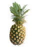 Thumbnail Pineapple Stock Photo - Royalty Free Image
