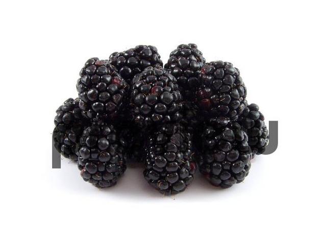 Product picture Blackberries Stock Photo - Royalty Free Image