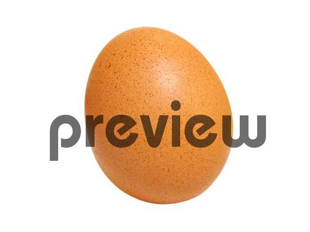 Product picture Egg Stock Photo - Royalty Free Image