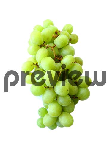 Product picture Grapes Stock Photo - Royalty Free Image