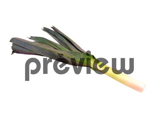 Product picture Leek Stock Photo - Royalty Free Image