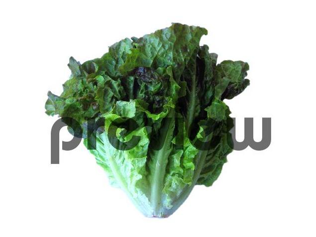 Product picture Lettuce Stock Photo - Royalty Free Image