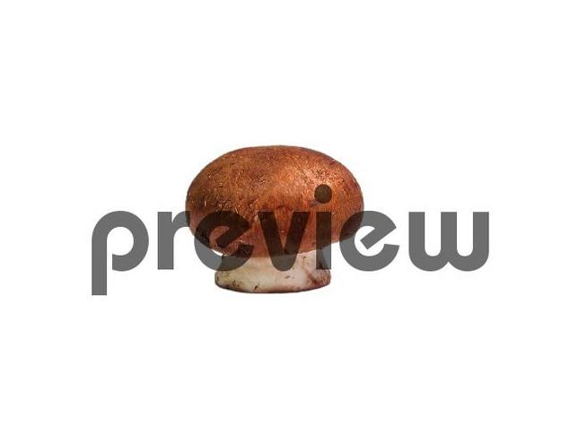 Product picture Mushroom Stock Photo - Royalty Free Image