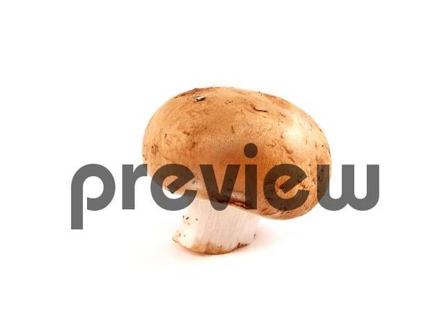 Product picture Mushroom Stock Photo - Royalty Free Image