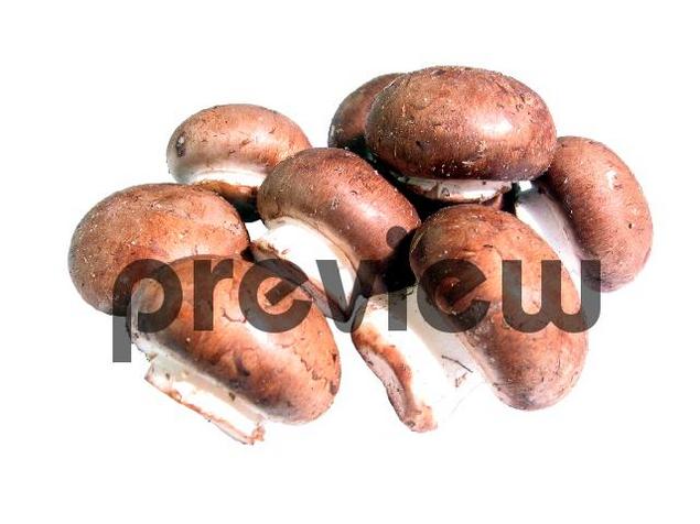 Product picture Mushrooms Stock Photo - Royalty Free Image