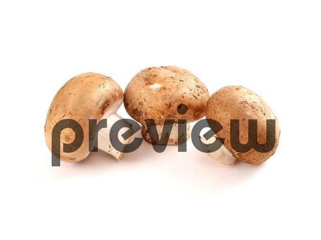 Product picture Mushrooms Stock Photo - Royalty Free Image
