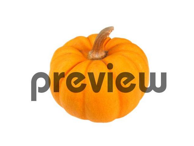 Product picture Pumpkin Stock Photo - Royalty Free Image