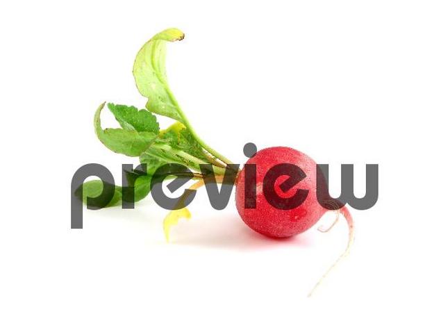 Product picture Radish Stock Photo - Royalty Free Image