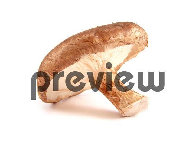 Product picture Shiitake Mushroom Stock Photo - Royalty Free Image