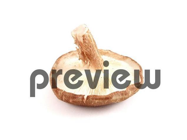 Product picture Shiitake Mushroom Stock Photo - Royalty Free Image